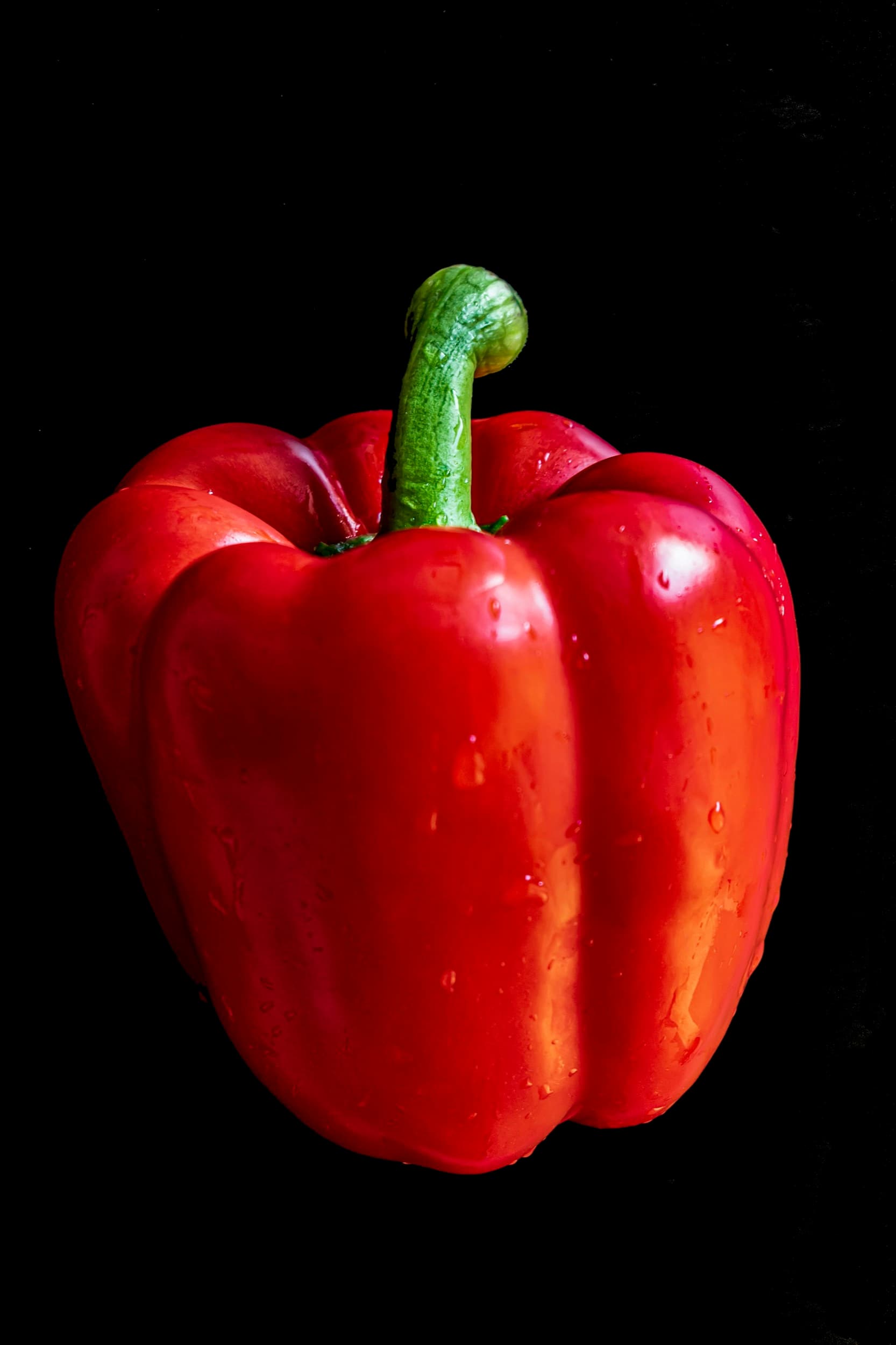 Red bell peppers ripening on a garden plant
