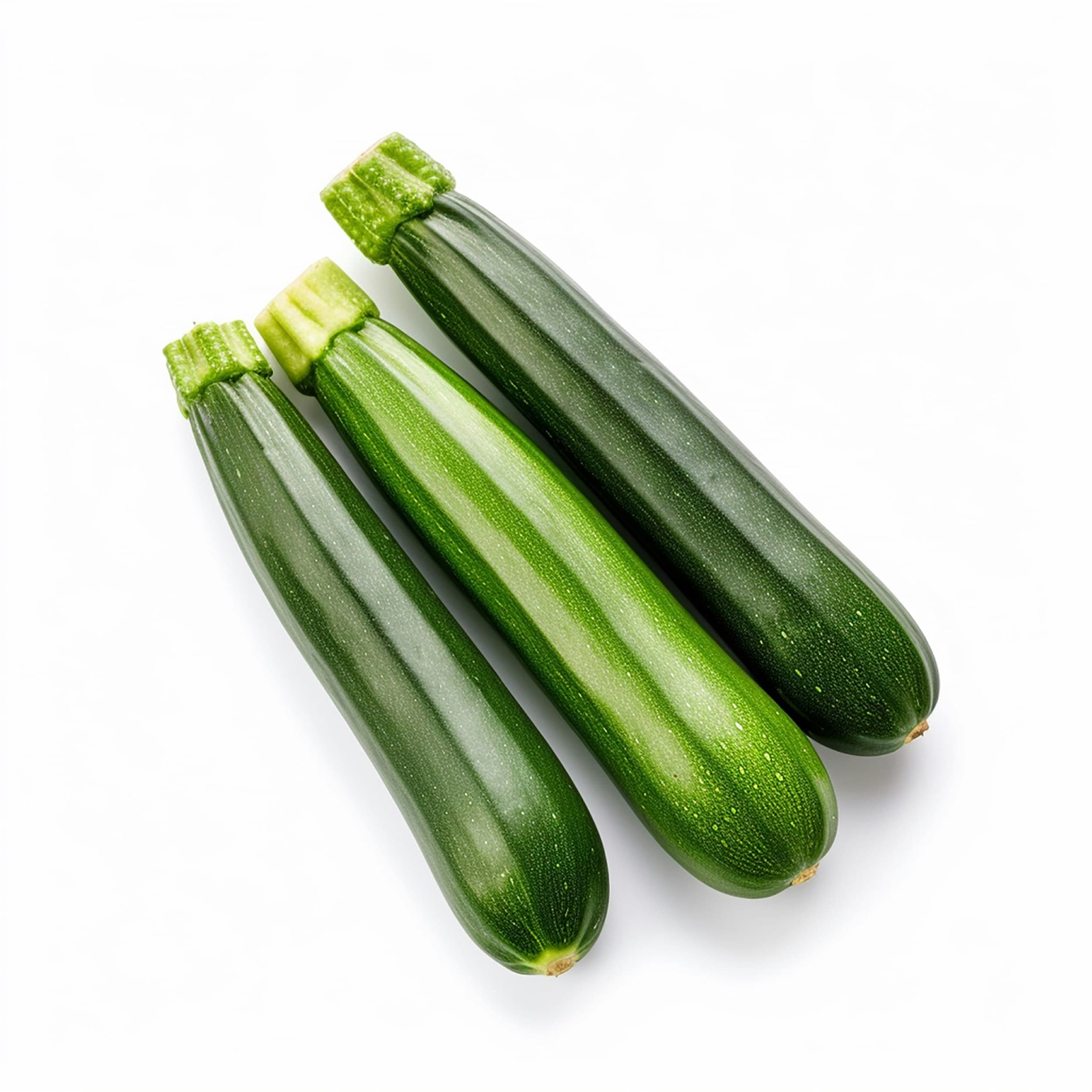 Zucchini plant with a young squash forming among large leaves