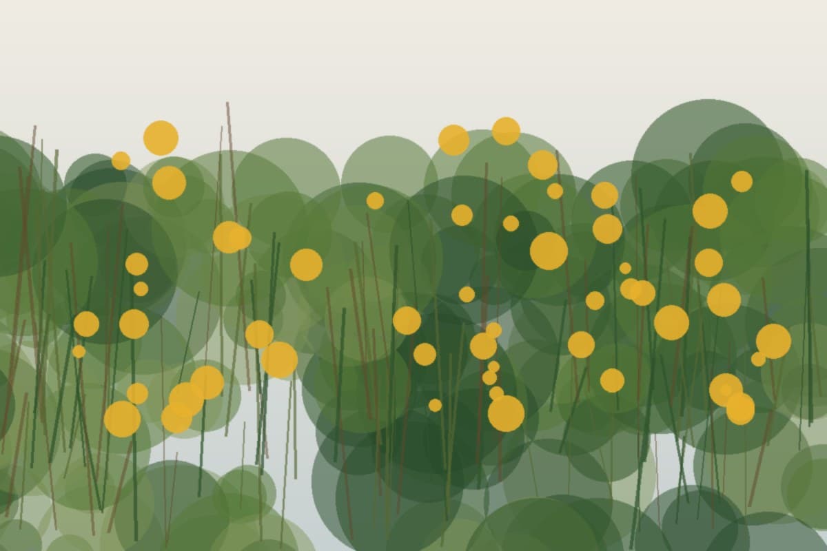 Painterly field illustration of Wrinkleleaf goldenrod in a Central Virginia native habitat planting