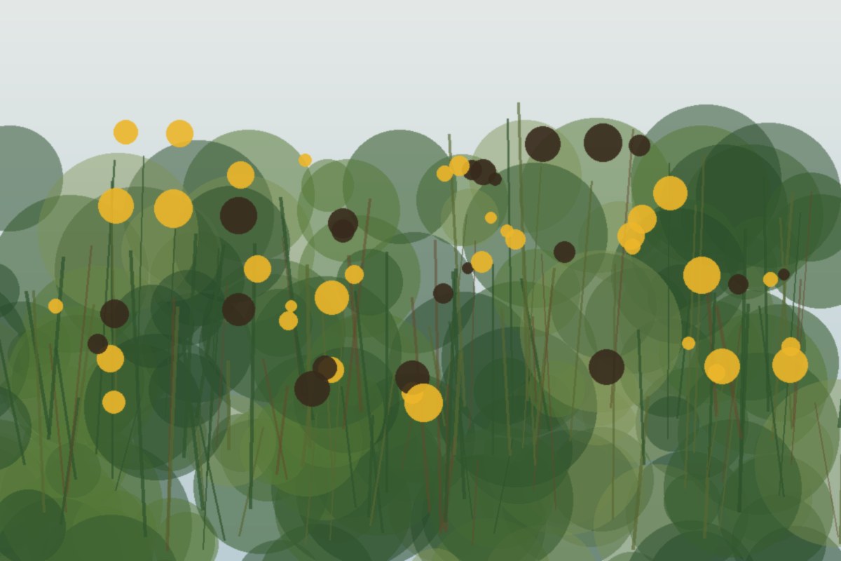 Painterly field illustration of Black-eyed Susan in a Central Virginia native habitat planting