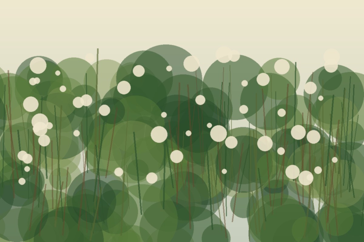Painterly field illustration of Buttonbush in a Central Virginia native habitat planting
