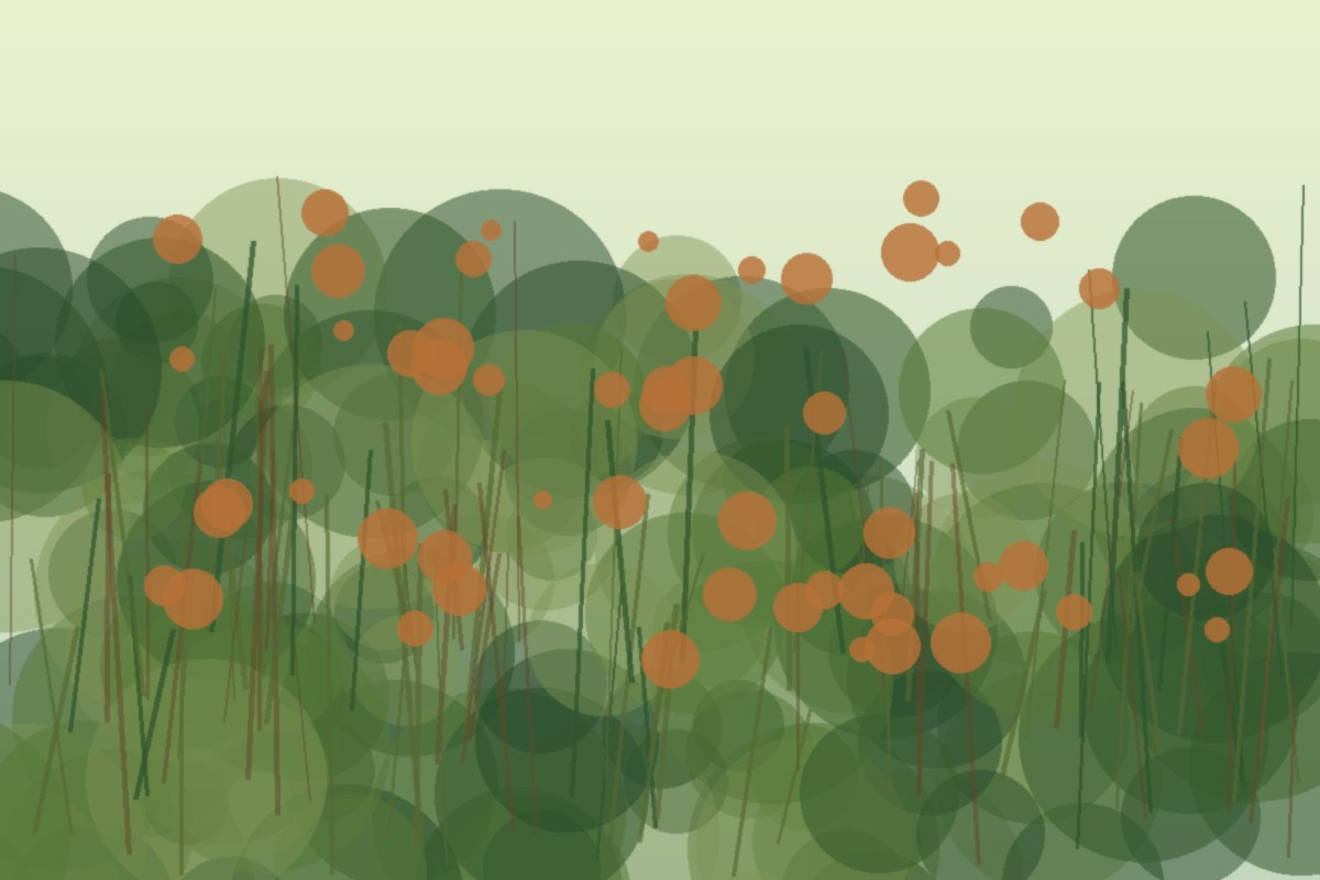 Painterly field illustration of Little bluestem in a Central Virginia native habitat planting