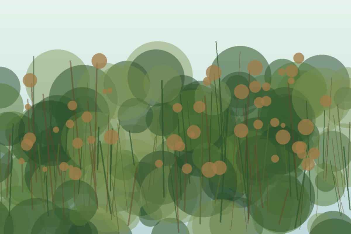 Painterly field illustration of Switchgrass in a Central Virginia native habitat planting