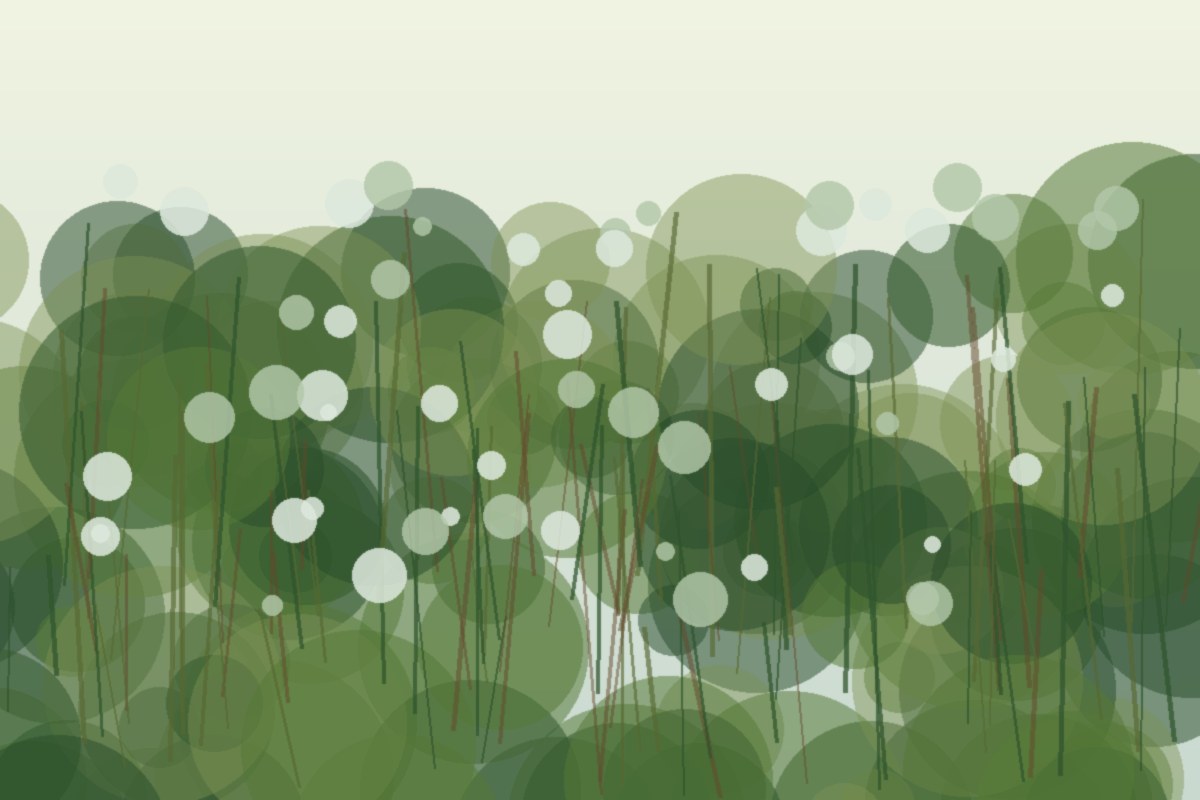 Painterly field illustration of Virginia mountain mint in a Central Virginia native habitat planting
