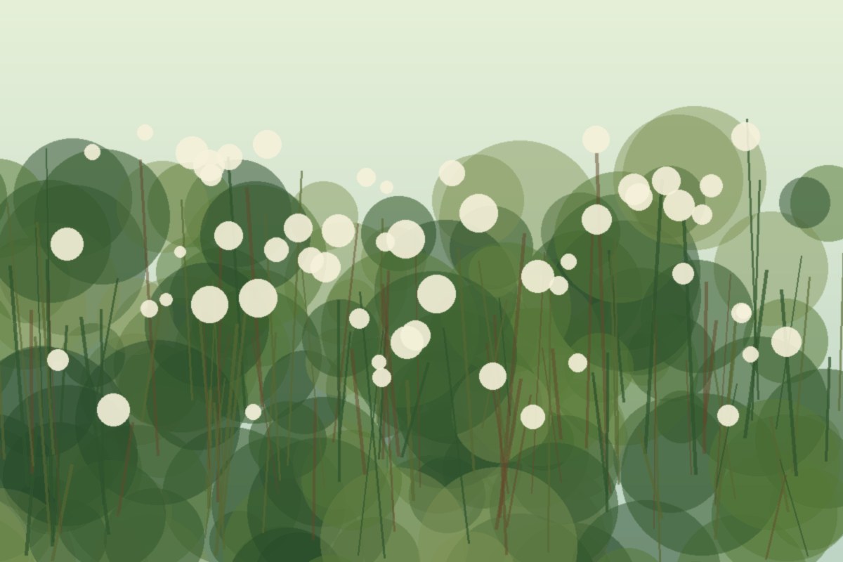 Painterly field illustration of Virginia sweetspire in a Central Virginia native habitat planting